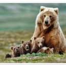 SH조선㈜ 이미지