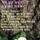 (주)통합콜 이미지