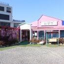 일광정