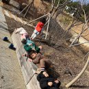 산들바람어린이집 이미지