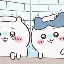 쿠시쿠시 이미지