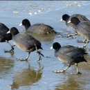 주남저수지 이미지