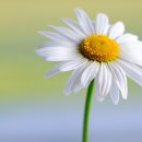 외할매뼈다귀해장국 이미지