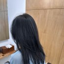 넉시 합정