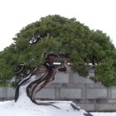 아트랜드 이미지