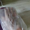 (주)젠텍인터내셔날 이미지