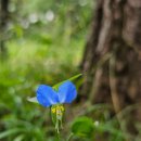 연진카센타 이미지