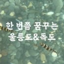 울릉공항펜션 이미지