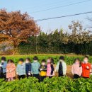 참조은어린이집 이미지