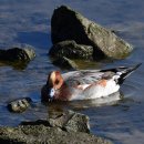 연동초등학교 이미지