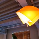 카페루체 이미지