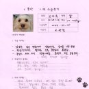 1143 | [#1143] 모카(양측 대퇴골두절제술)의 수술후기