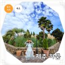 제주하뭄 이미지