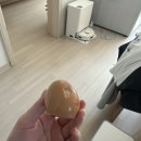 필-보테가 이미지