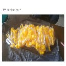 오리천국 이미지