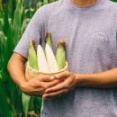 동춘농장 이미지