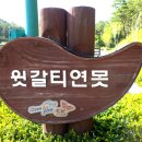 갈티 이미지