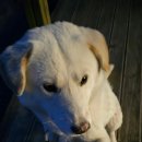 와하하 게스트하우스 이미지