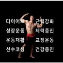 태나핏