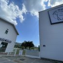 오도도 노리 이미지