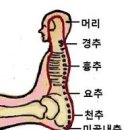 국제기혈도아카데미