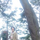 정원장식당 이미지