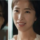 STELLA KOREA 이미지