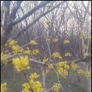 이명은 농장 | 오른쪽 귀 이명 어떻게 해결할까요?