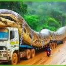 Terrible Off-Road Truck: You Will Be Shock By Truck and Extreme Dangerous.. 이미지