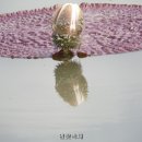 사계절하우스+부동산중개 이미지