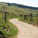 한우목장 이미지