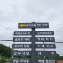 효석문학100리길 제4구간 | 강원도 평창효석문화제 속 효석문화마을과 먹거리, 봉평메밀꽃 축제