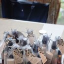 해오름빌 이미지