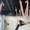 요가디야 이미지