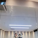 1983 당구레슨 스튜디오 이미지