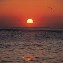 천보당한의원 이미지