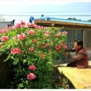 선덕경로당 이미지