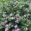 전도할머니경로당 이미지