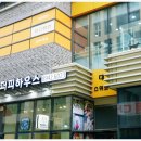 퍼피하우스 인천송도점 | 부평강아지분양 퍼피하우스 인천송도점을 방문한 후기