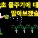 난초 물주기(관수)~ 이미지