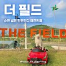 카페THEfield | 순천 대형 천연잔디 운동장이 있는 애견카페 [더 필드] / 반려견이 마음껏 뛰어놀 수 있는곳