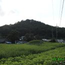 우정읍 조암리753-8(김**) | [경기 화성]충헌공 김취로 묘
