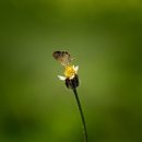 태봉노인복지관 이미지