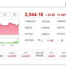 (주)스톤소프트 이미지