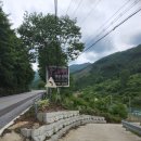 플라워민박 이미지