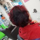 다올헤어아트