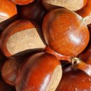 대보농장 이미지