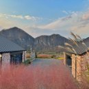 단델리온풀빌라 이미지