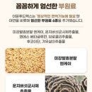 푸드맥스