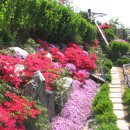 옛집황토방 이미지